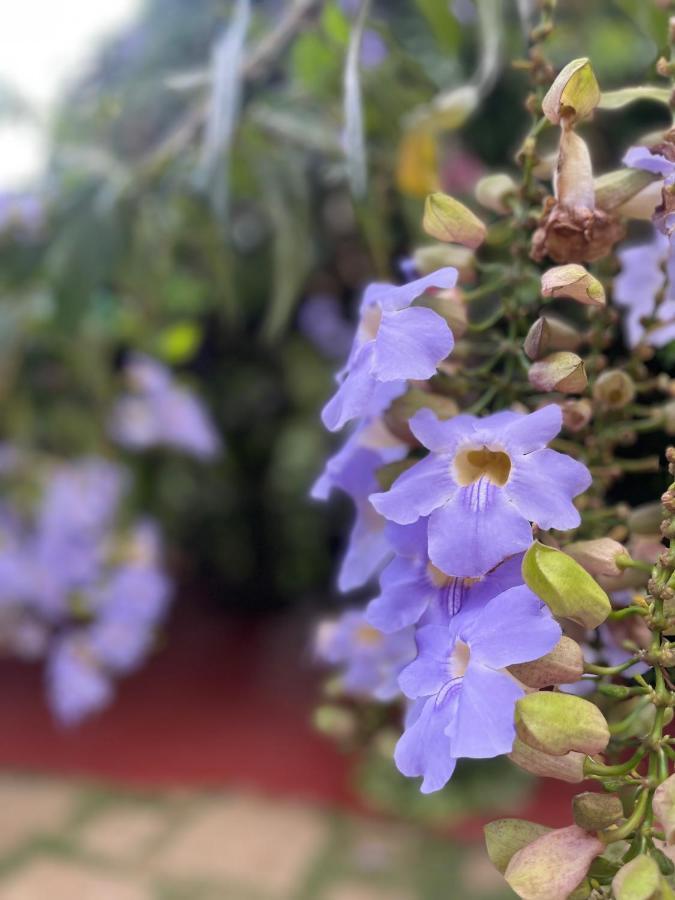 فندق Olho D'Agua Pousada غواراميرانغا المظهر الخارجي الصورة